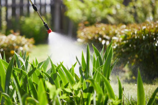 24/7 Emergency Mosquito Control experts in New Whiteland, IN